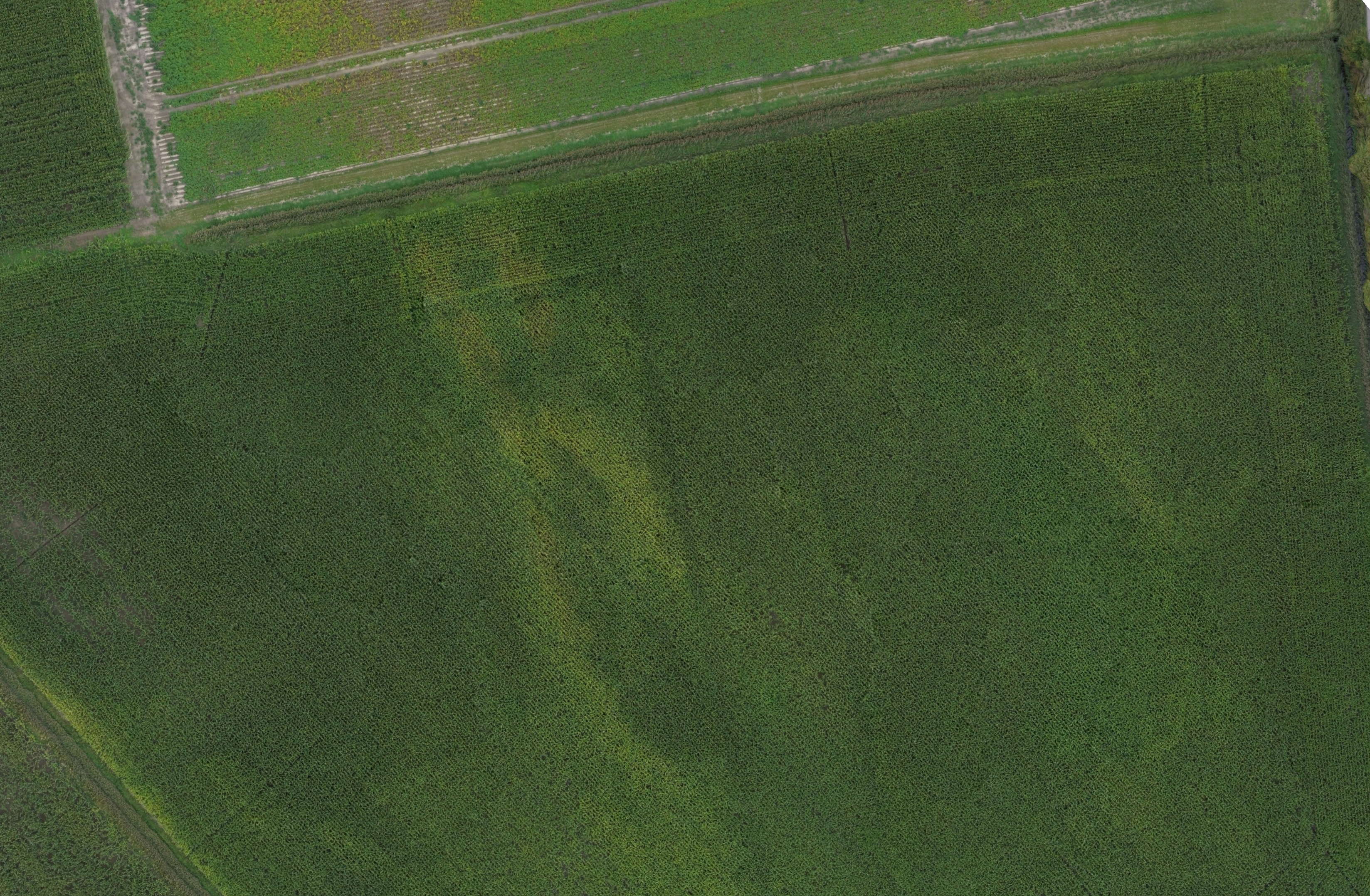 Kartering landbouwperceel